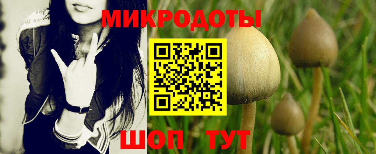 Галлюциногенные грибы MAGIC MUSHROOMS Комсомольск-на-Амуре